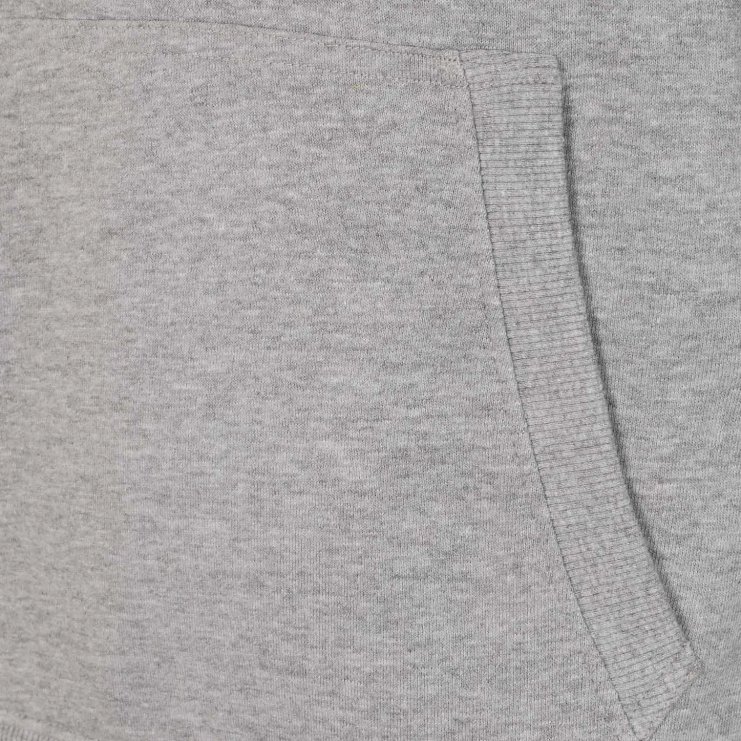 T&F Sweatshirts^Mens Essentials Color Crest Hoody Light Grey